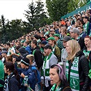 DĚNÍ NA TRIBUNÁCH: Bohemians - Hradec