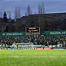 Bohemians - Slovácko 1:0 (0:0)