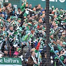 Dění na tribunách: Bohemians - Liberec