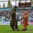 Dění na tribunách: Bohemians - Jihlava