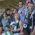 DĚNÍ NA TRIBUNÁCH: Plzeň - Bohemians