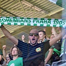 DĚNÍ NA TRIBUNÁCH: Plzeň - Bohemians