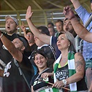 DĚNÍ NA TRIBUNÁCH: Plzeň - Bohemians