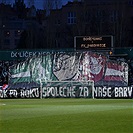 Bohemians - Pardubice 2:0 (1:0)