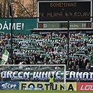 Bohemians - Mladá Boleslav 4:0 (1:0)