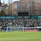 Bohemians - Mladá Boleslav 4:0 (1:0)