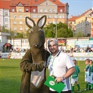 Dění na tribunách Bohemians - Jihlava 1:1