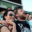 Dění na tribunách Bohemians - Jihlava 1:1