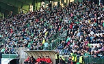 Dění na tribunách: Bohemians - Slavia