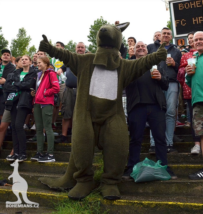 DĚNÍ NA TRIBUNÁCH: Bohemians - Hradec