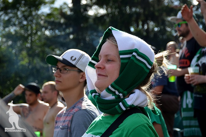 DĚNÍ NA TRIBUNÁCH: Bohemians - Karviná