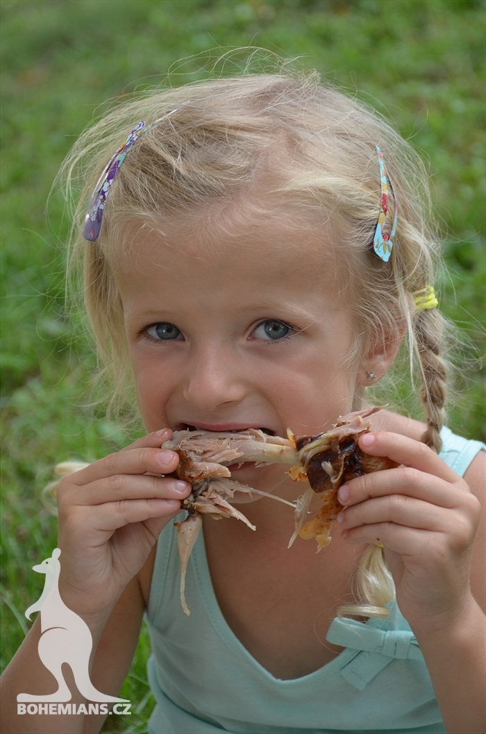 DĚNÍ NA TRIBUNÁCH: Bohemians - Karviná