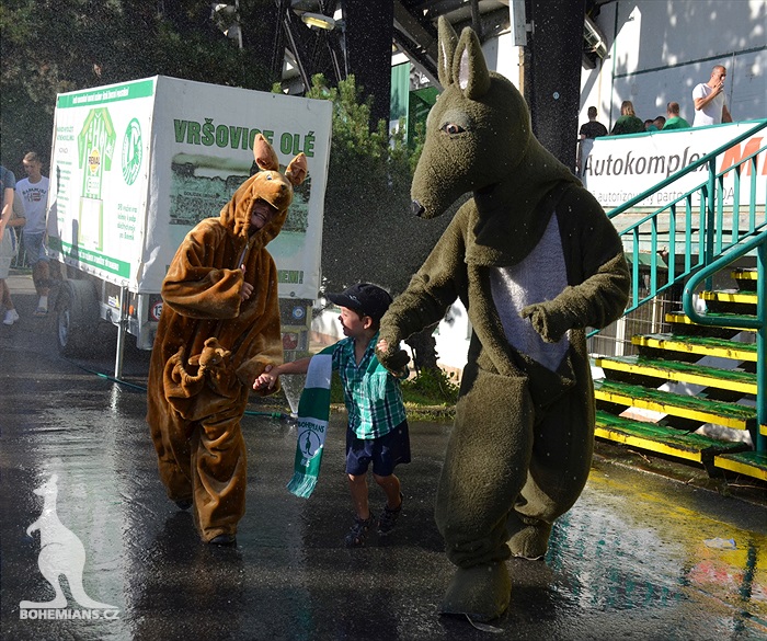 DĚNÍ NA TRIBUNÁCH: Bohemians - Karviná