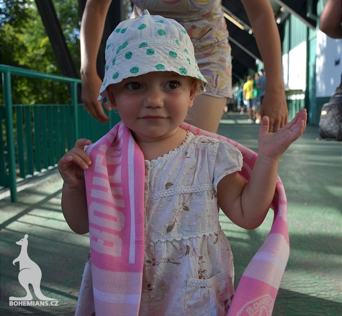 DĚNÍ NA TRIBUNÁCH: Bohemians - Karviná