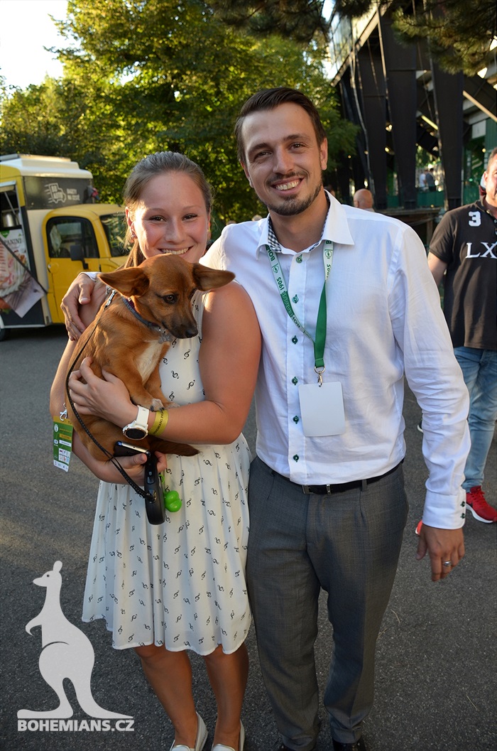 DĚNÍ NA TRIBUNÁCH: Bohemians - Karviná