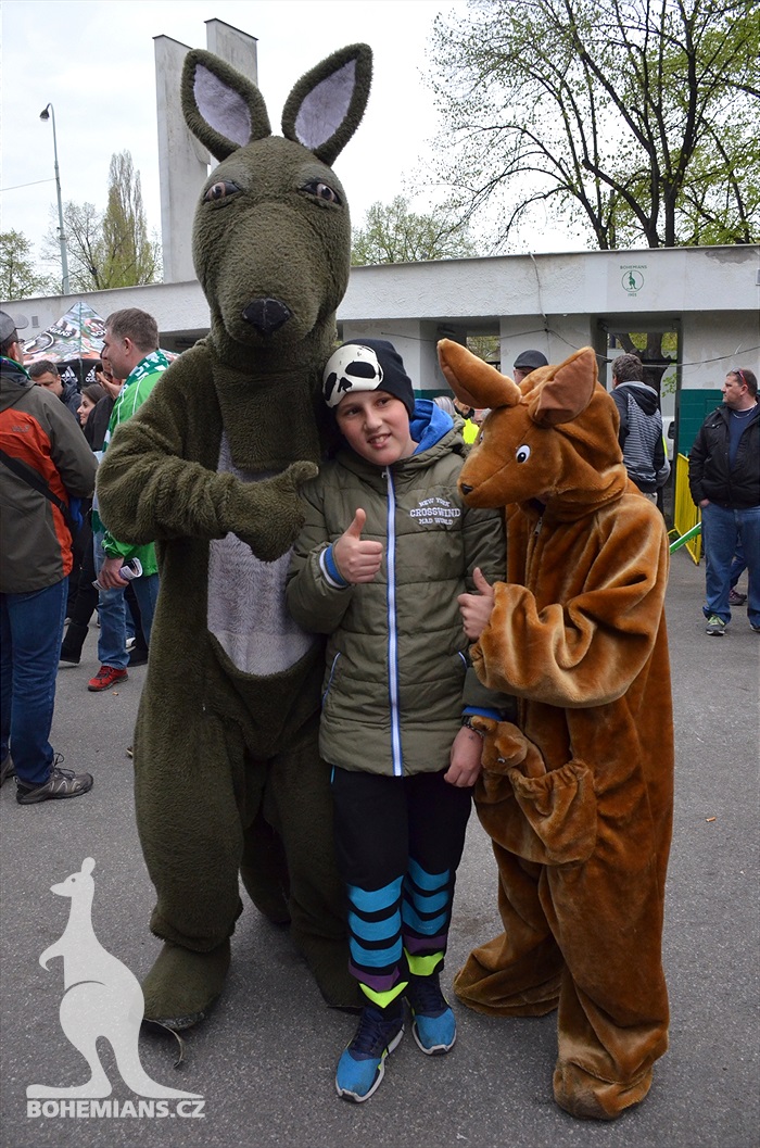 Dění na tribunách: Bohemians - Jihlava