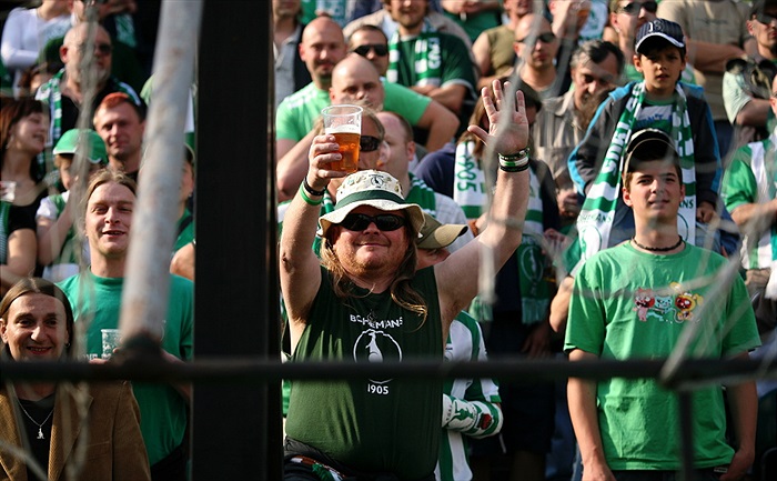 Kotel pozorně sleduje zápas.