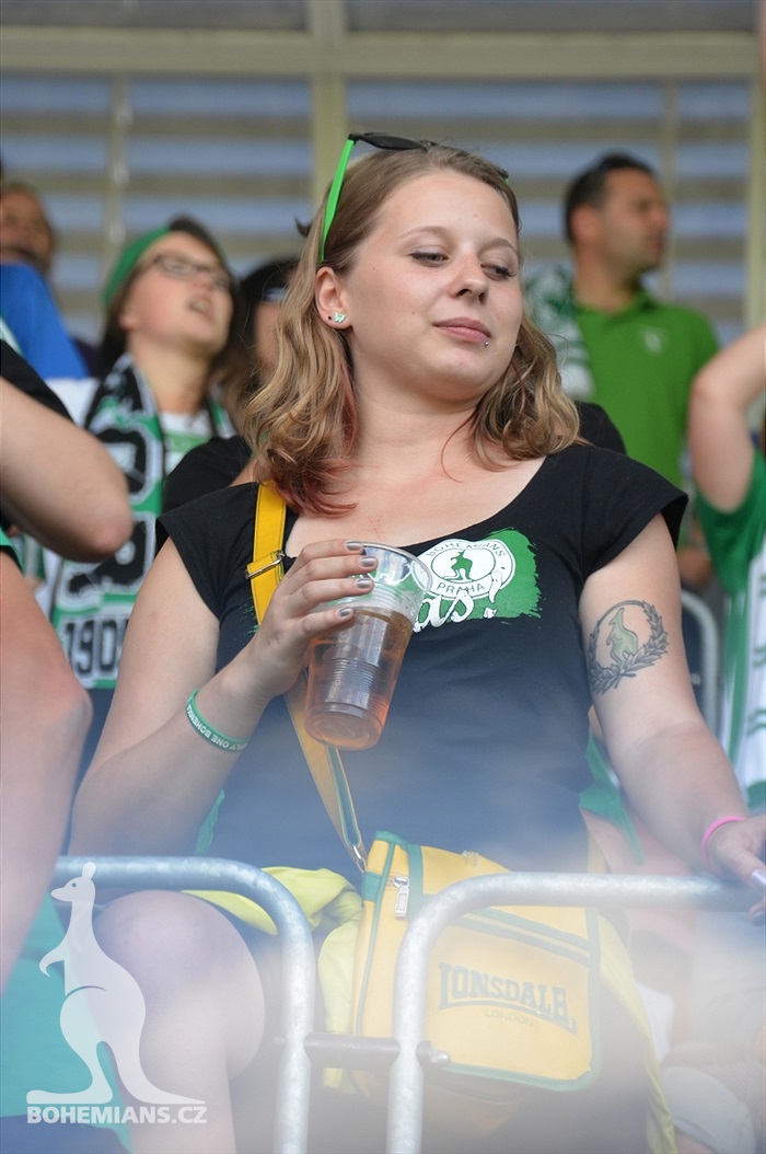 DĚNÍ NA TRIBUNÁCH: Plzeň - Bohemians