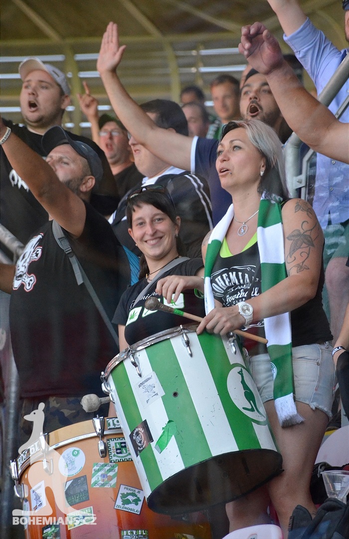 DĚNÍ NA TRIBUNÁCH: Plzeň - Bohemians