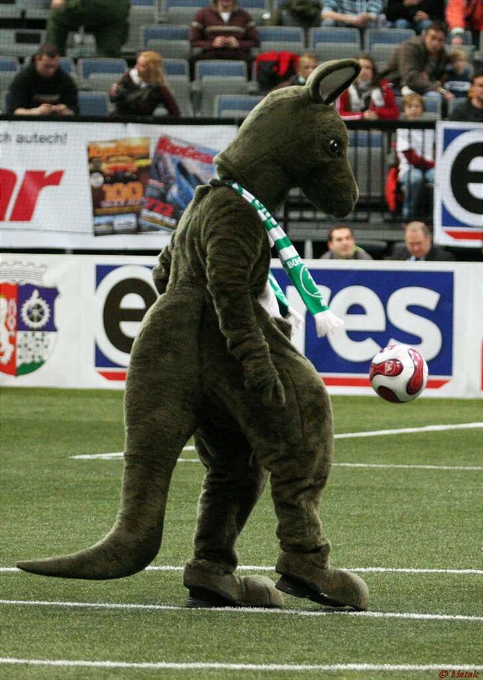 Víkend šampionů, semifinále [14.1.2007], fanoušci č.2