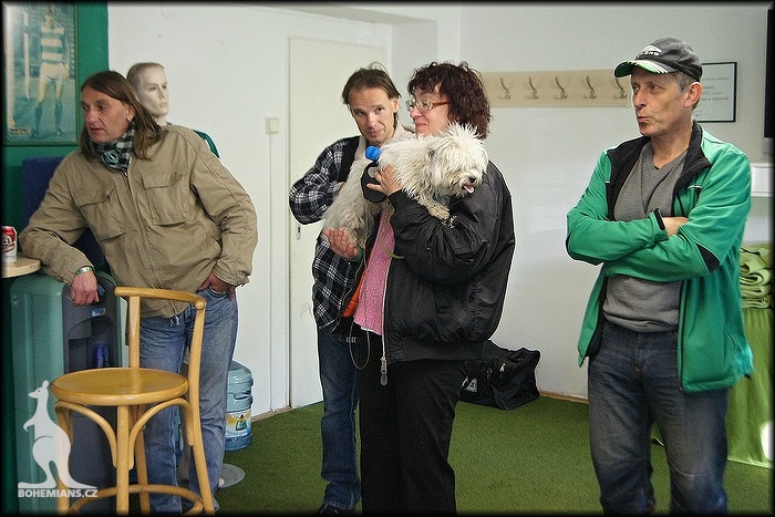 Bohemians Tour Australia