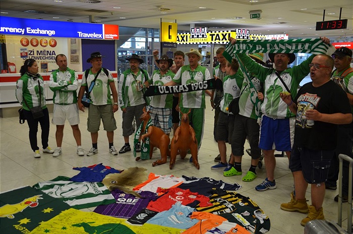 Klokani přiletěli z Austrálie