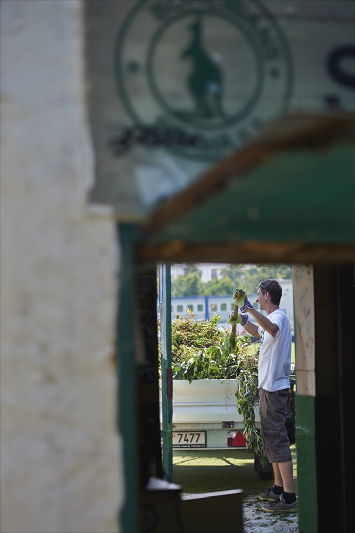 Brigáda v Ďolíčku