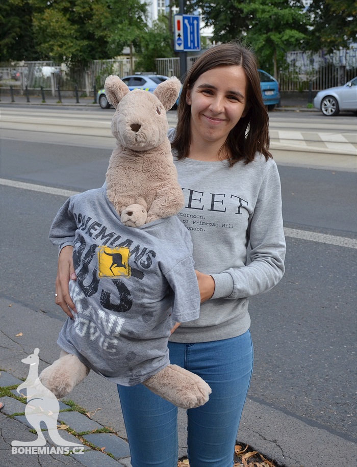 DĚNÍ NA TRIBUNÁCH: Bohemians - Slavia