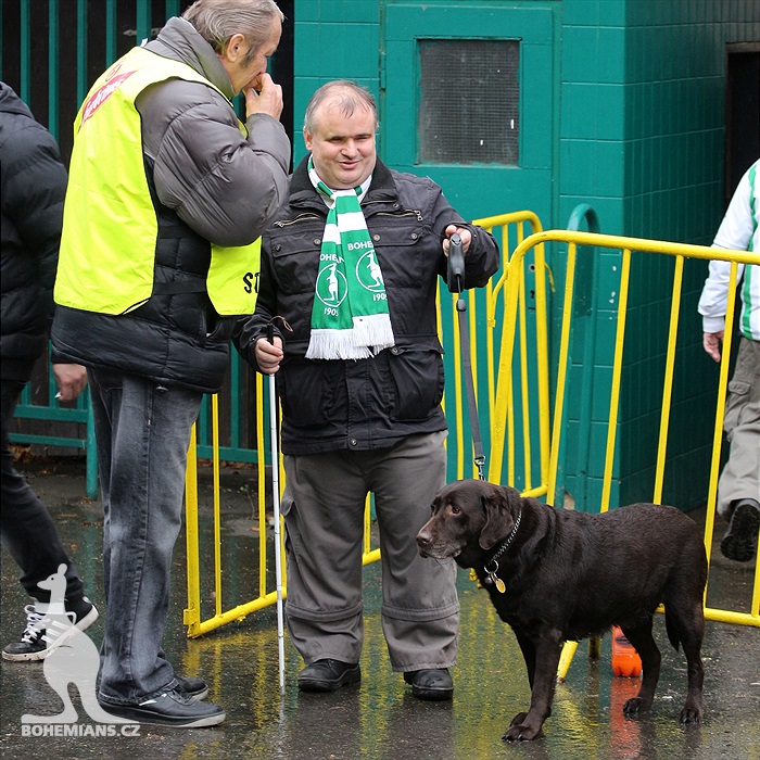 DĚNÍ NA TRIBUNÁCH: Bohemians - Teplice