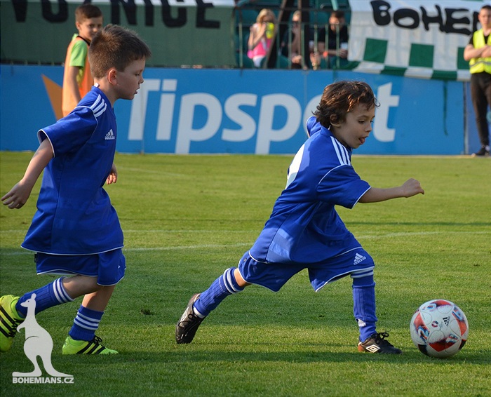 Dění na tribunách Bohemians - Jihlava 1:1