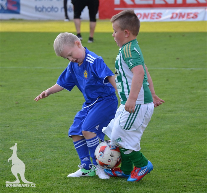 Dění na tribunách Bohemians - Jihlava 1:1