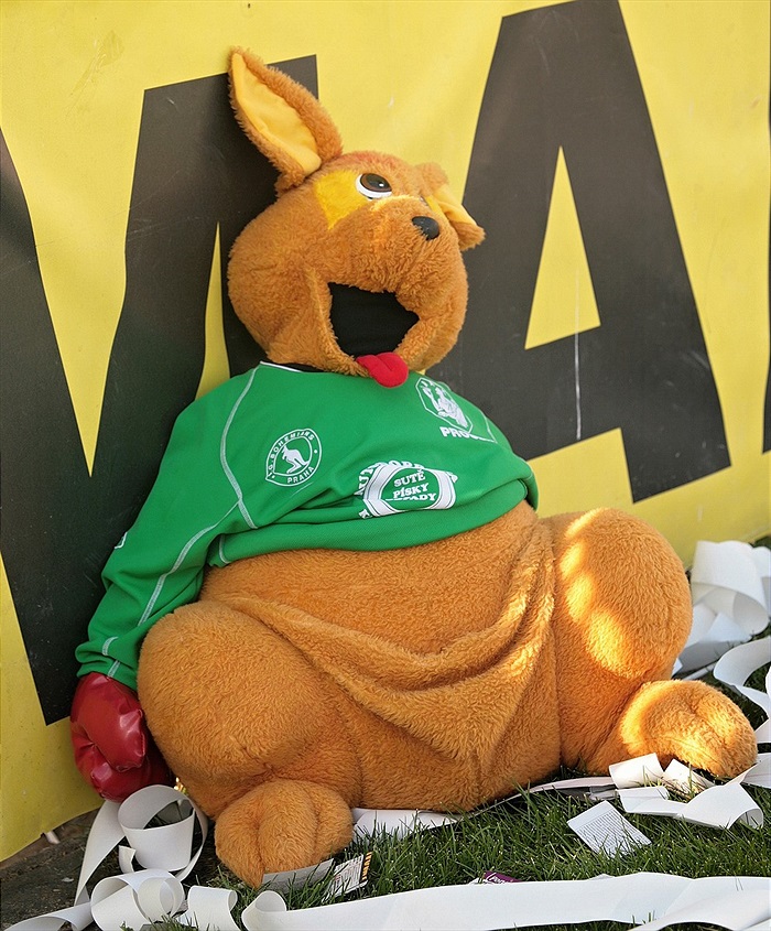 Plyšový maskot pod kotlem sleduje dění na hřišti