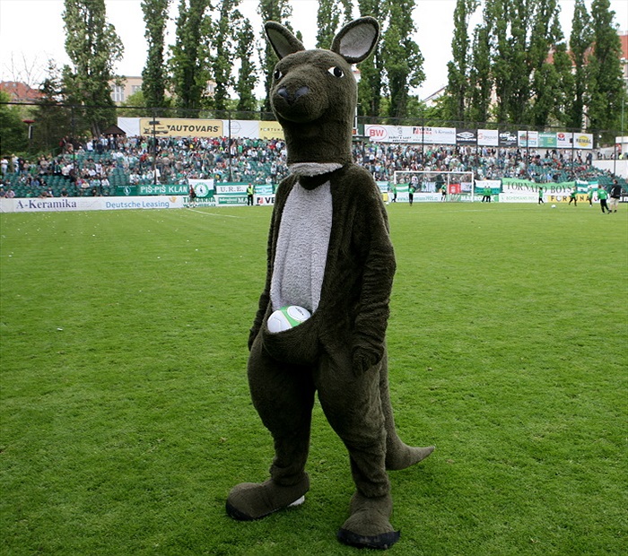 Klokan s míčem v kapse.