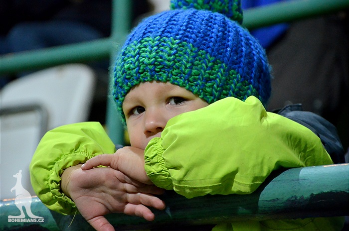 Dění na tribunách: Bohemians - Králův Dvůr