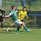 Bohemians Praha 1905 - 1. FK Příbram 1:2 (1:1)