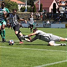 Admira - Bohemians 1:2 (0:1)