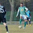 Bohemians Praha 1905 - FK Viktoria Žižkov 1:1 (1:1)