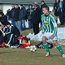 Bohemians Praha 1905 - FK Viktoria Žižkov 1:1 (1:1)