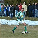 Bohemians Praha 1905 - FK Viktoria Žižkov 1:1 (1:1)