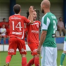 FK Pardubice - Bohemians Praha 1905 1:1 (1:0)