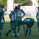 Bohemians Praha 1905 - FK Crvena zvezda Bělehrad 0:1 (0:0)