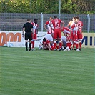 Bohemians Praha 1905 - FK Crvena zvezda Bělehrad 0:1 (0:0)