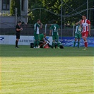 Bohemians Praha 1905 - FK Crvena zvezda Bělehrad 0:1 (0:0)