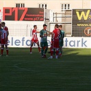 Bohemians Praha 1905 - FK Crvena zvezda Bělehrad 0:1 (0:0)