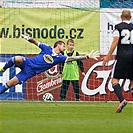 Bohemians Praha 1905 - SK Dynamo České Budějovice 3:0 (0:0) 