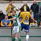 Bohemians Praha 1905 - FK Teplice 1:1 (1:0)