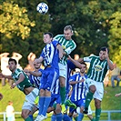 Jiskra Domažlice - Bohemians Praha 1905 2:1 (1:1)