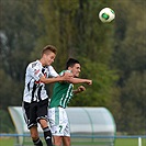 Bohemians Praha 1905 - SK Dynamo Č.Budějovice 2:1 (1:1)