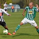 Bohemians Praha 1905 - SK Dynamo Č.Budějovice 2:1 (1:1)