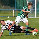 Bohemians Praha 1905 - SK Dynamo Č.Budějovice 2:1 (1:1)